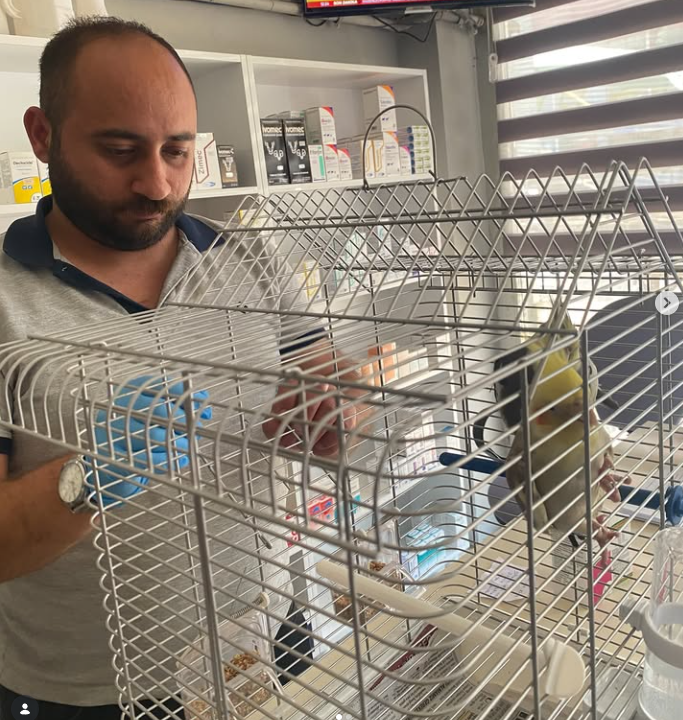 Kuş muayenesi sırasında klinik ortamı